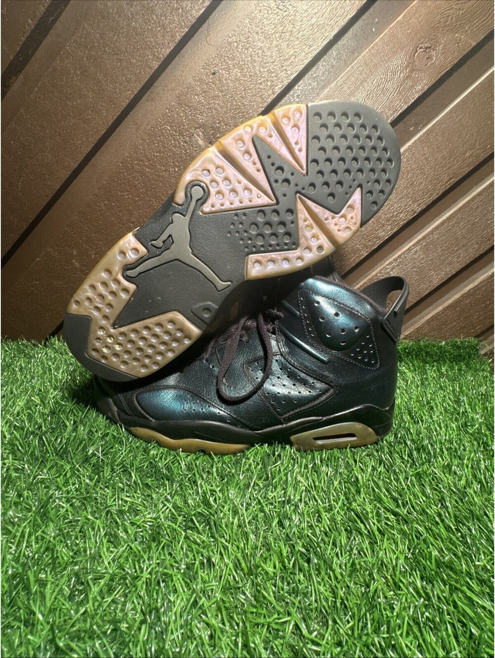 Size 9.5 - Air Jordan 6 Retro All Star - Chameleon